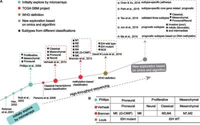 Current Opinion on Molecular Characterization for GBM Classification in Guiding Clinical Diagnosis, Prognosis, and Therapy